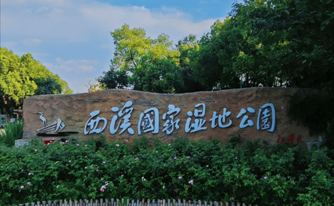 Explore Xixi National Wetland Park with Entrance and Cruise