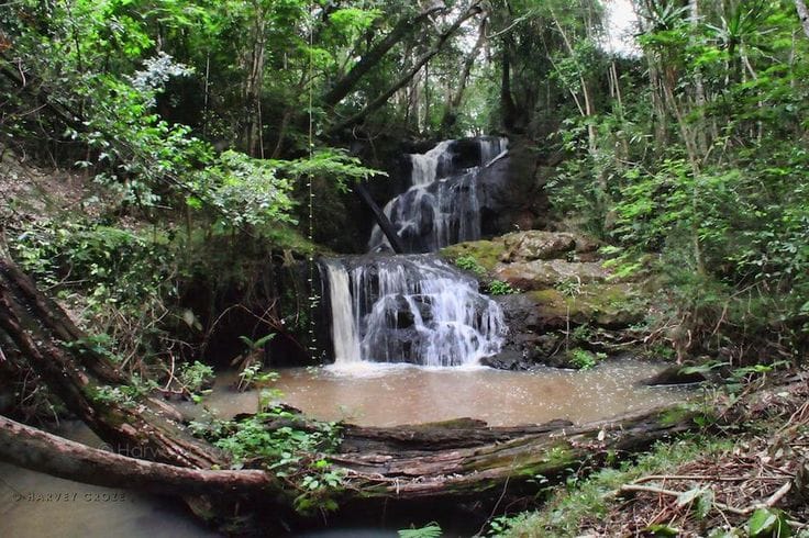 a waterfall giving the sound of pure serenity in Karura forest