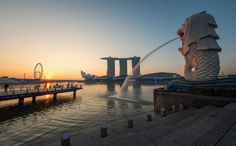 8-Hours Private Singapore Customized Tour With Driver