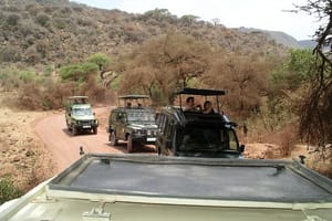Manyara and Ngorongoro Crater