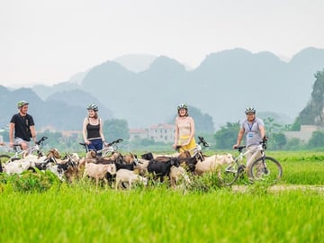Biking tour in Ninh Binh