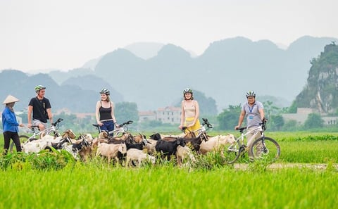 Ninh Binh Full Day Tour with Hoa Lu, Tam Coc and Mua Cave