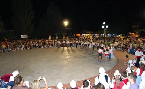 Kefalonia Festivals Tour: Food, Wine, and Music in Argostolion