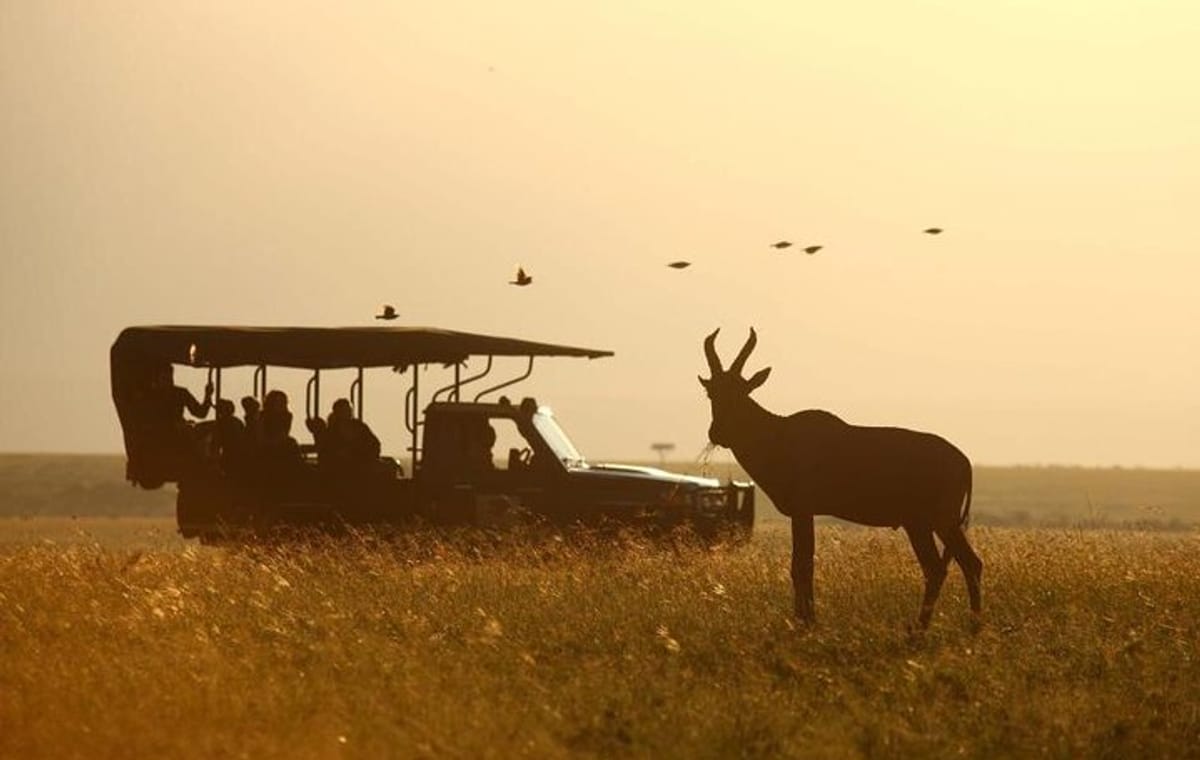 Tanzania Family Adventure Safari