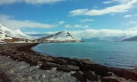 Westfjords Winterbreak 6