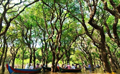 Floating Village and Siem Reap City Tuk-Tuk Tour