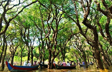 Floating Village and Siem Reap City Tuk-Tuk Tour