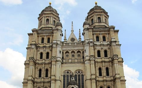 Private Guided Walking Tour of Dijon’s Cultural Heritage