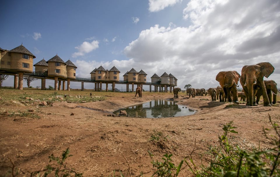 Taita Hills Wildlife Safari Day Trip from Mombasa or Diani