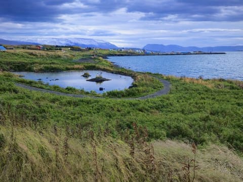 Hrísey island private E-mtb tour, photo 2