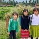 Ha Giang Loop - 2 Day Tour Through the Mountains & Valley