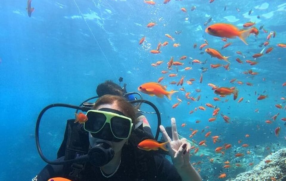 Beginner Scuba Diving Experience in Hurghada, Egypt