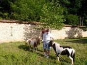 Remote Control a CEO in Bulgaria 2