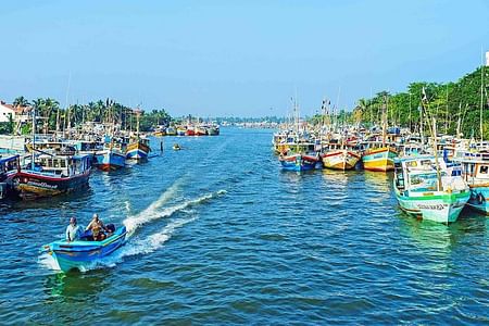 Negombo Fishing Adventure: Local Market, Catamaran & Island Picnic