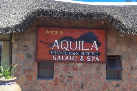 Private Big 5 Safari at Aquila – Tickets, Lunch & Transfers
