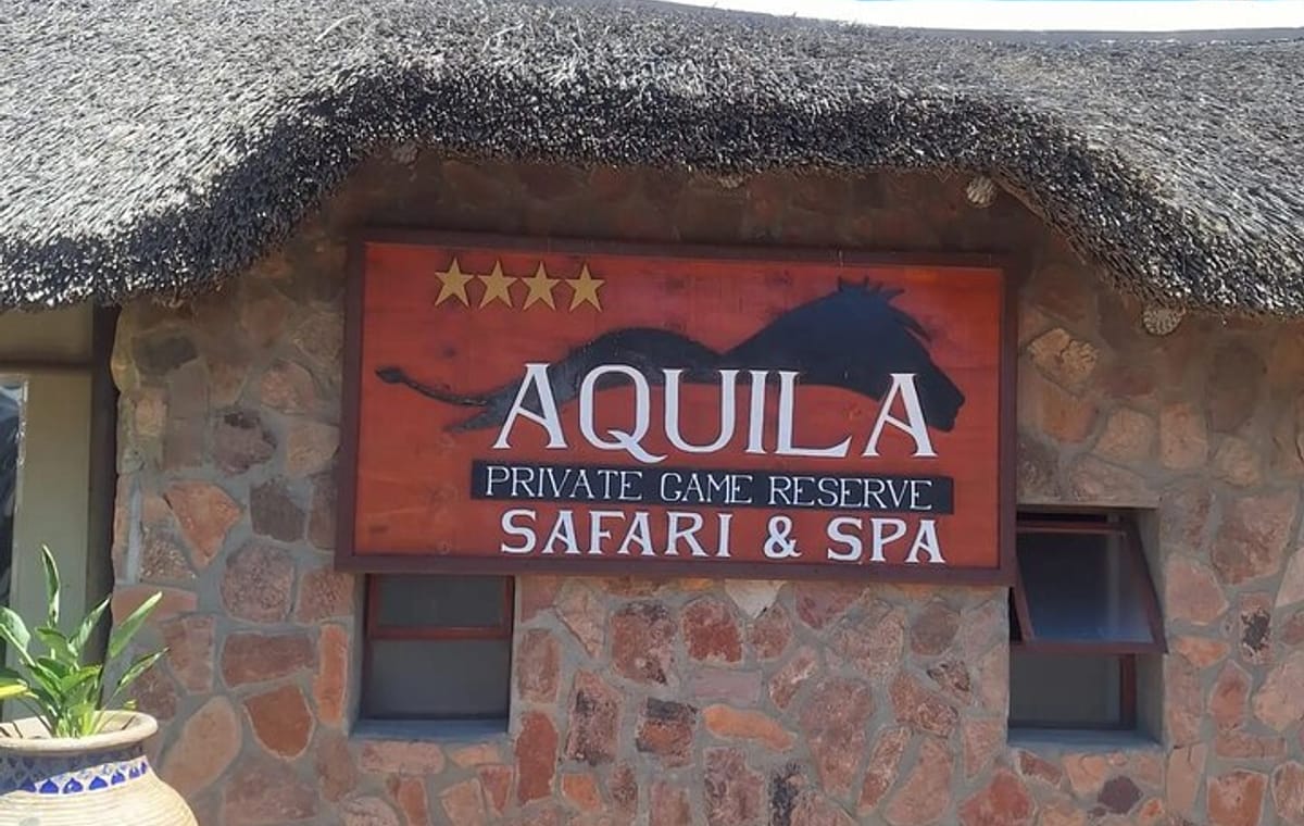 Private Big 5 Safari at Aquila – Tickets, Lunch & Transfers