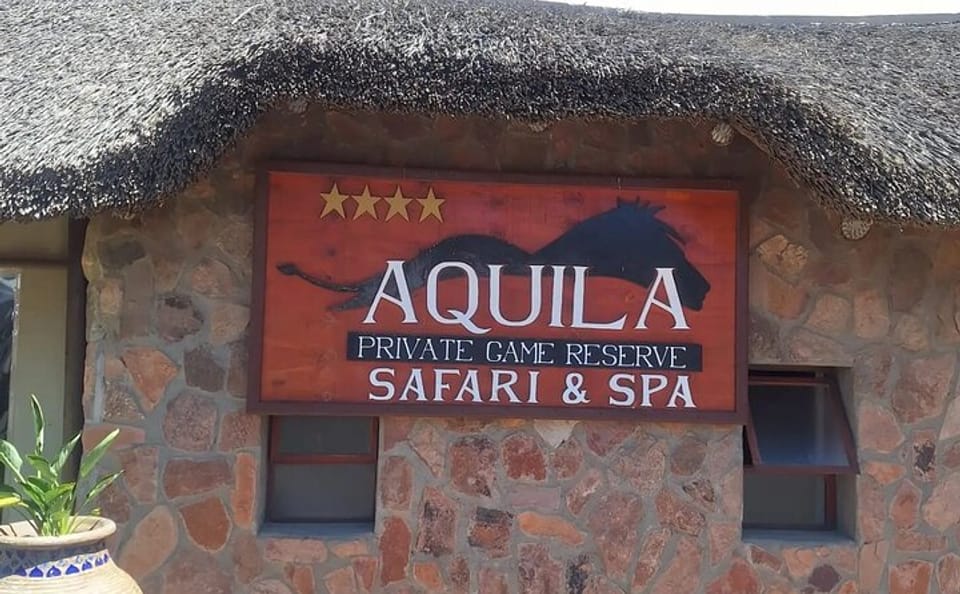 Private Big 5 Safari Experience from Cape Town with Lunch