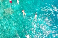A refreshing snorkeling session in calm, shallow water with excellent visibility.