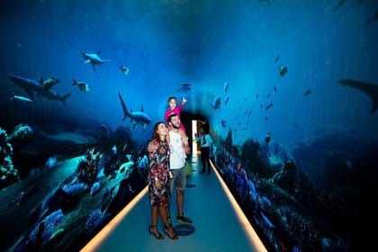 The View at The Palm Experience with Dining option