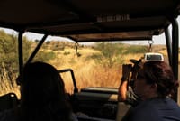 Full-Day Pilanesburg Nature Reserve Tour 1