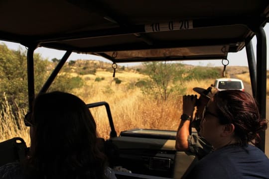 Full-Day Pilanesburg Nature Reserve Tour