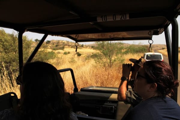 Things to do in Johannesburg
