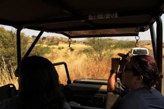 Full-Day Pilanesburg Nature Reserve Tour
