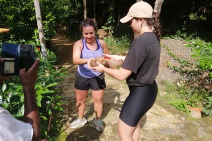 Knuckles Mountain Range Hiking and Trekking Day Tour From Kandy City