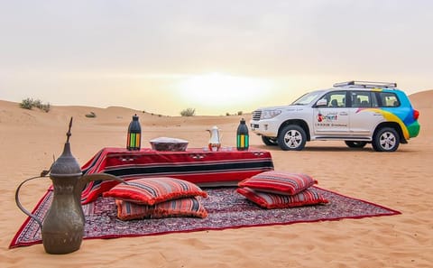 Private 4x4 Sunrise Wildlife Tour in Dubai Desert