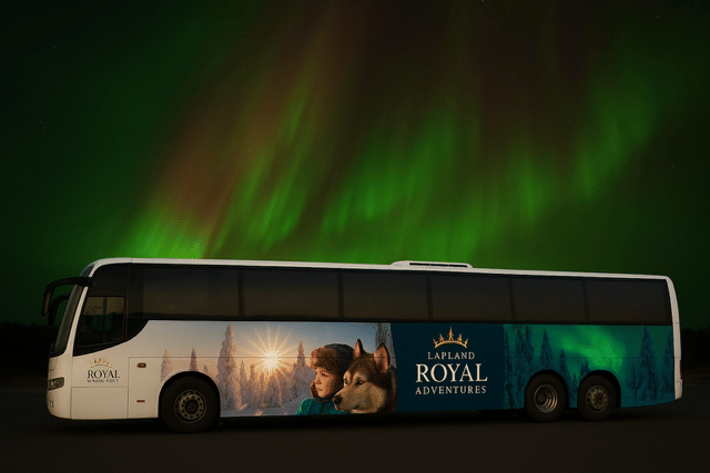 Northern Lights Tour by Bus