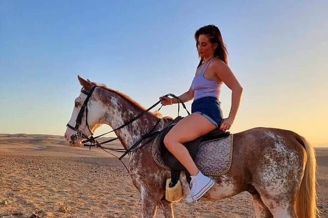 2 Hours Desert Horse Riding Adventure with Transfer - Marsa Alam