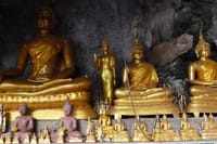Thailand’s Last Lowland Rainforest – A Hidden Gem Tour 9
