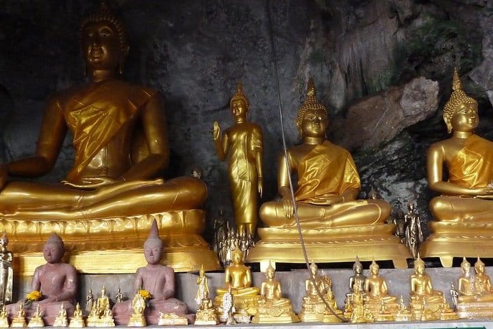 Thailand’s Last Lowland Rainforest – A Hidden Gem Tour 9