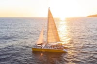 Los Cabos Whale Watching Cruise with Open Bar & Snacks 10
