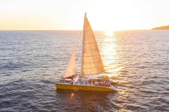 Los Cabos Whale Watching Cruise with Open Bar & Snacks 10