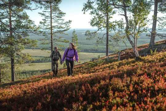 Land of the Midnight Sun -The Mystical Beings and Beliefs of Lapland