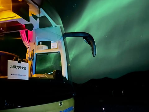 Iceland Reykjavik Northern Lights Bus Tour guided in Chinese冰岛雷市中文极光团