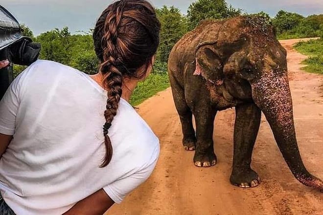 Custom Made Tours Sri lanka