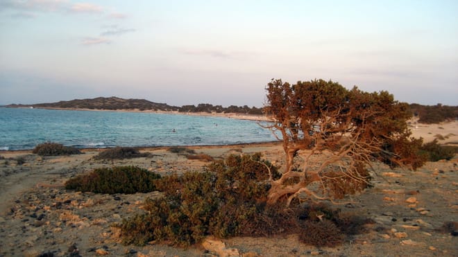 Day Tour to Ierapetra and Chrissi Island from Heraklion and East Crete photo 6