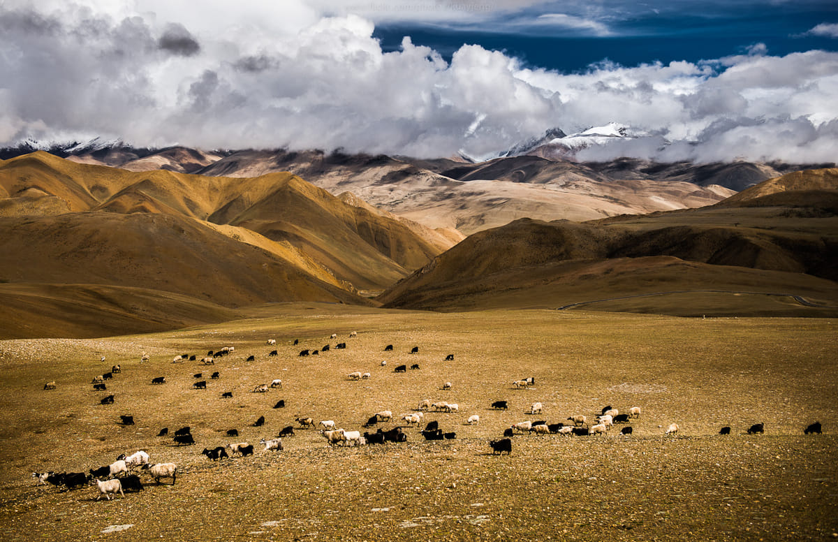 19 Days Mera Peak Climbing & Expedition – One Life-Changing Himalayan Adventure