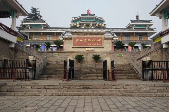 Private Day Tour to Shaolin Temple with Kungfu Class from Luoyang