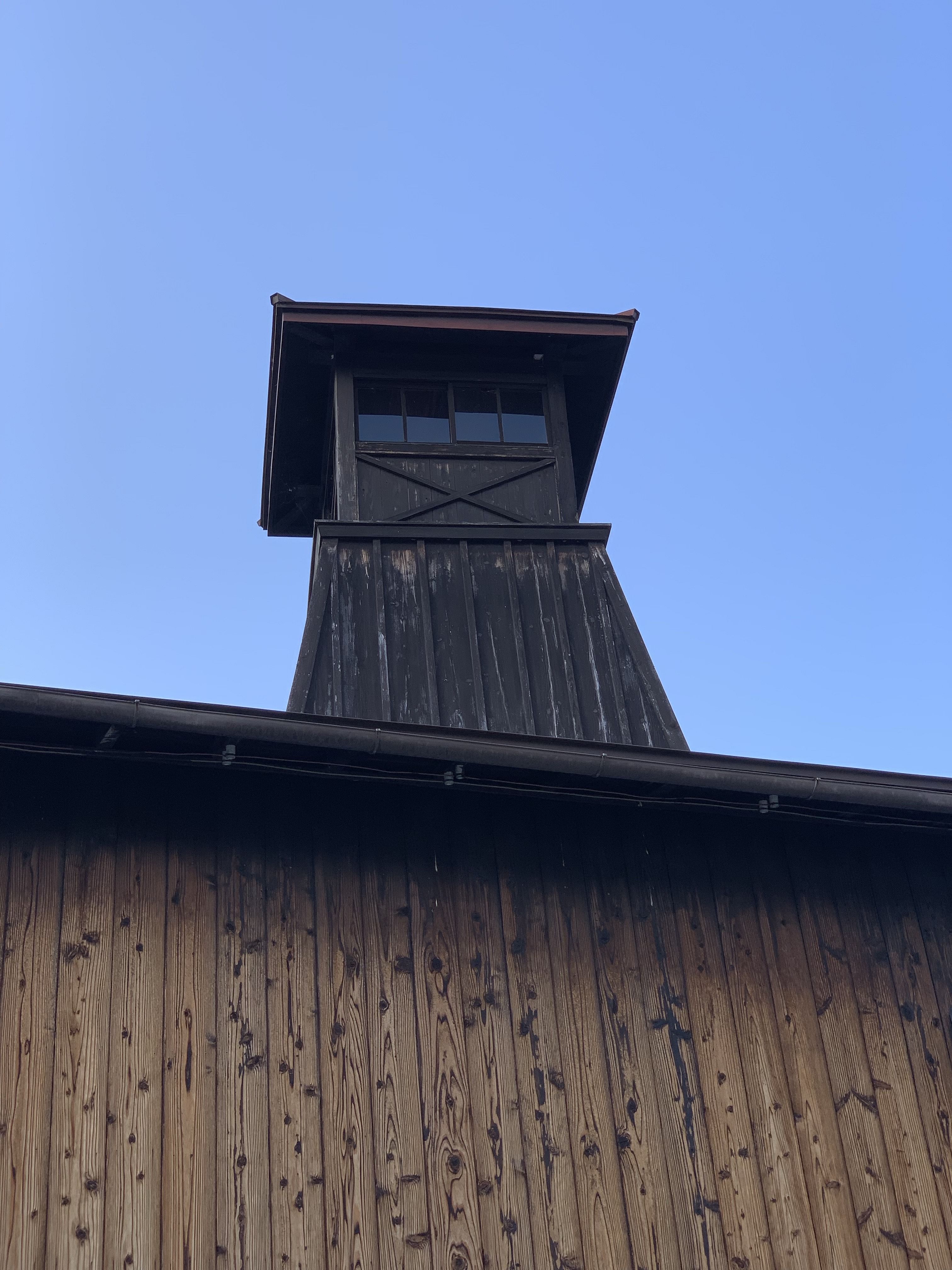 Takayama oldtownship walking tour with local guide. (About 45min)