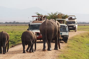 3 Days Amboseli and Tsavo West National Park Safari From Nairobi