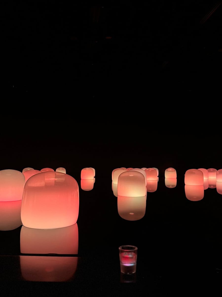 Abu Dhabi: TeamLab Phenomena – A Universe of Living Art!