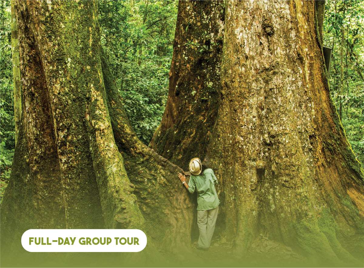 10 Days Free And Easy Explorations Of Vietnam’s Rich Heritage