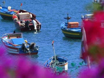 4WD Coastal Tour of Camara de Lobos, Madeira