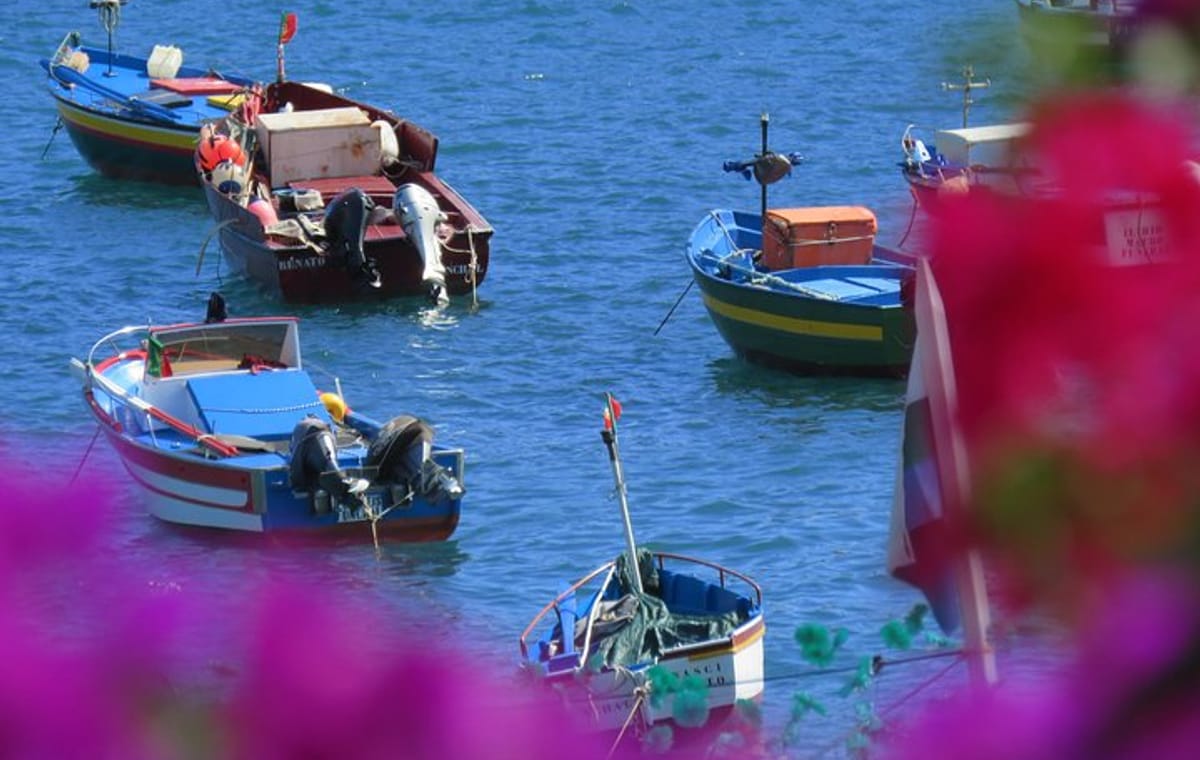 Madeira Sea Cliff and Camara de Lobos 4WD Half Day Tour