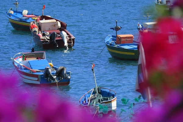Things to do in Câmara de Lobos, Madeira