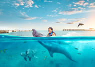 Isla Mujeres: Dolphin Connection 6