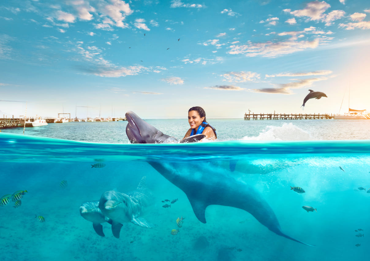 Isla Mujeres: Dolphin Connection 6